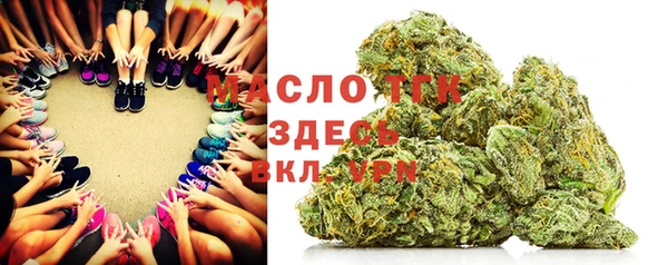дмт Нягань
