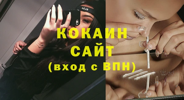 альфа пвп Гусев